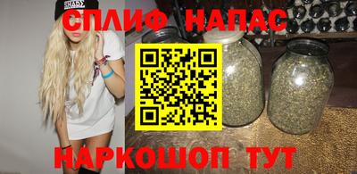 гидра Новодвинск