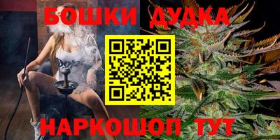гидра Новодвинск