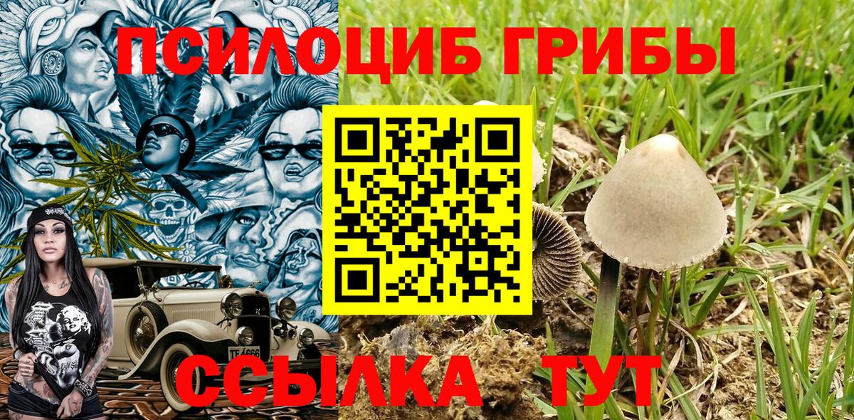 Туймазы  Псилоцибиновые грибы мицелий  Галлюциногенные грибы GOLDEN TEACHER  хочу   Вход с VPN 