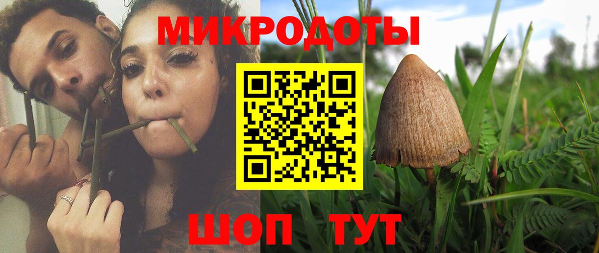 Псилоцибиновые грибы Psilocybine cubensis Туймазы